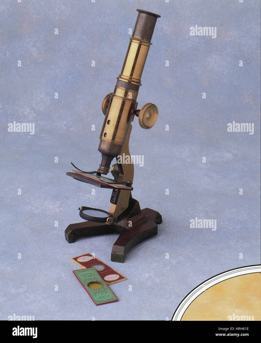 Microscopio e diapositive Foto Stock