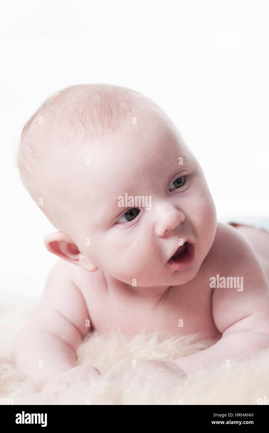 Modello rilasciato, Babyportrait, Bub 3 Monate - baby in verticale Foto Stock