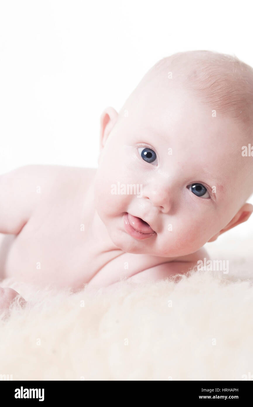 Modello rilasciato, Babyportrait, Bub 3 Monate - baby in verticale Foto Stock