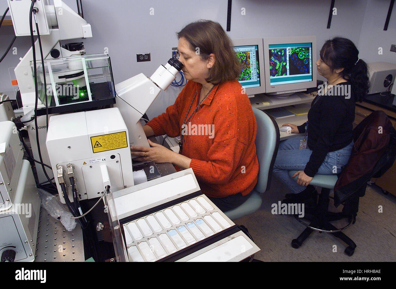 Scienziato mediante microscopio elettronico Foto Stock