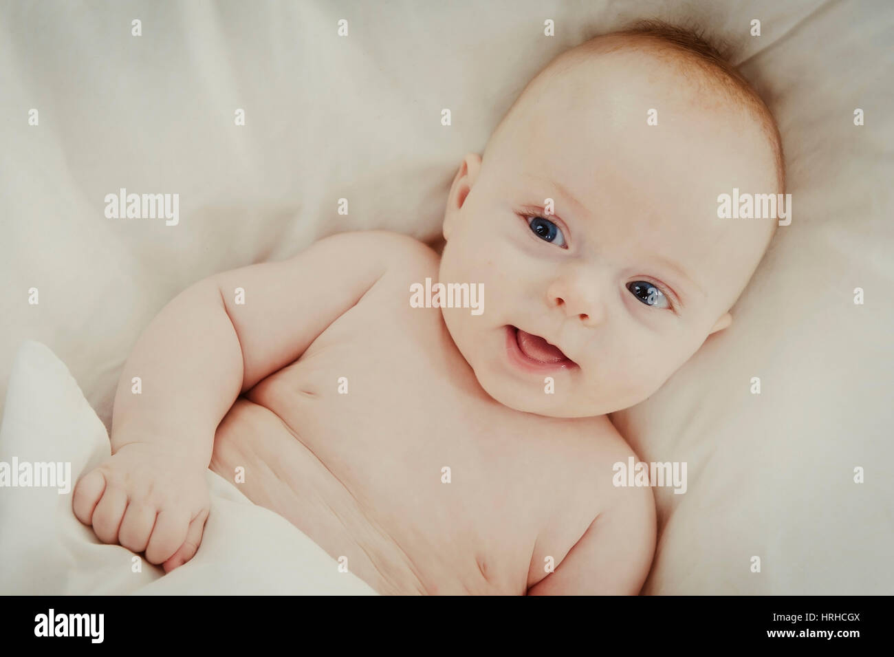 Baby, 4 Monate - baby Foto Stock