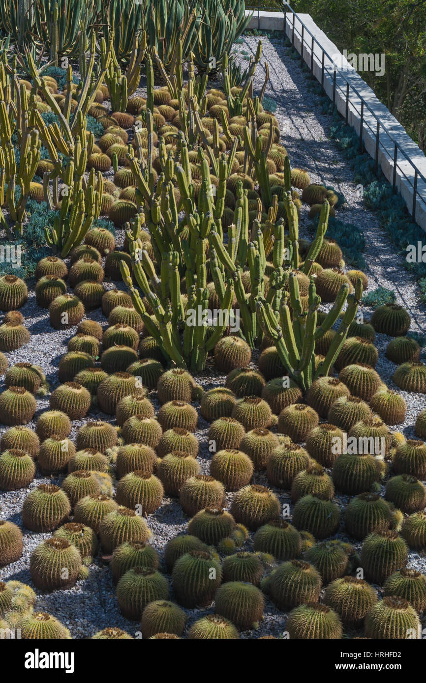 J. Paul Getty Museum un museo di arte in Brentwood quartiere di Los Angeles. È la località principale del museo. Esso è stato istituito nel 1974. Foto Stock
