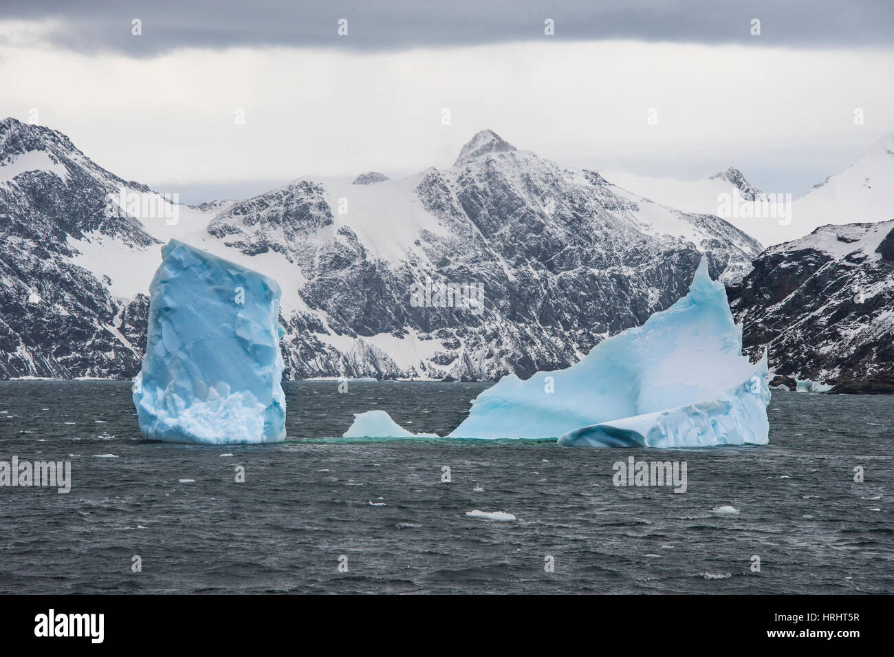 Iceberg galleggianti, elefante isola, a sud le isole Shetland, Antartide, regioni polari Foto Stock