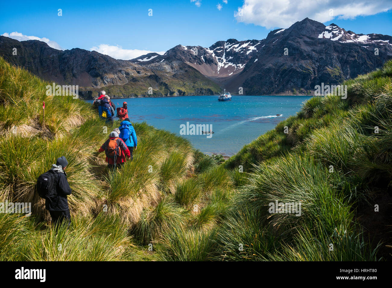 I turisti escursioni in Godthul, Georgia del Sud, l'Antartide, regioni polari Foto Stock