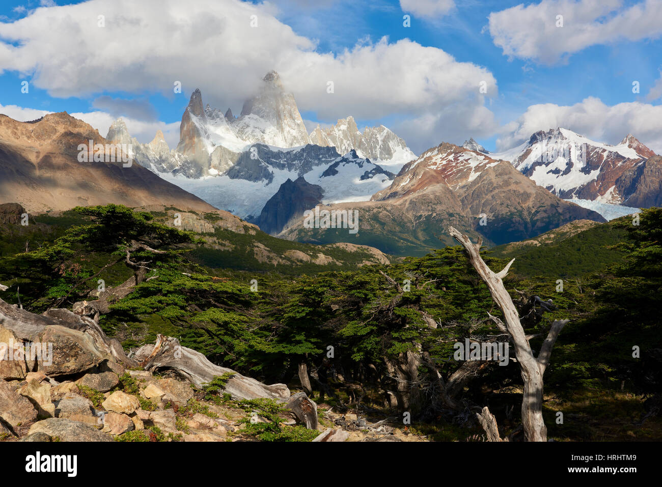 Ampio angolo orizzontale dotato di Monte Fitz Roy in background e albero in primo piano, Patagonia, Argentina Foto Stock