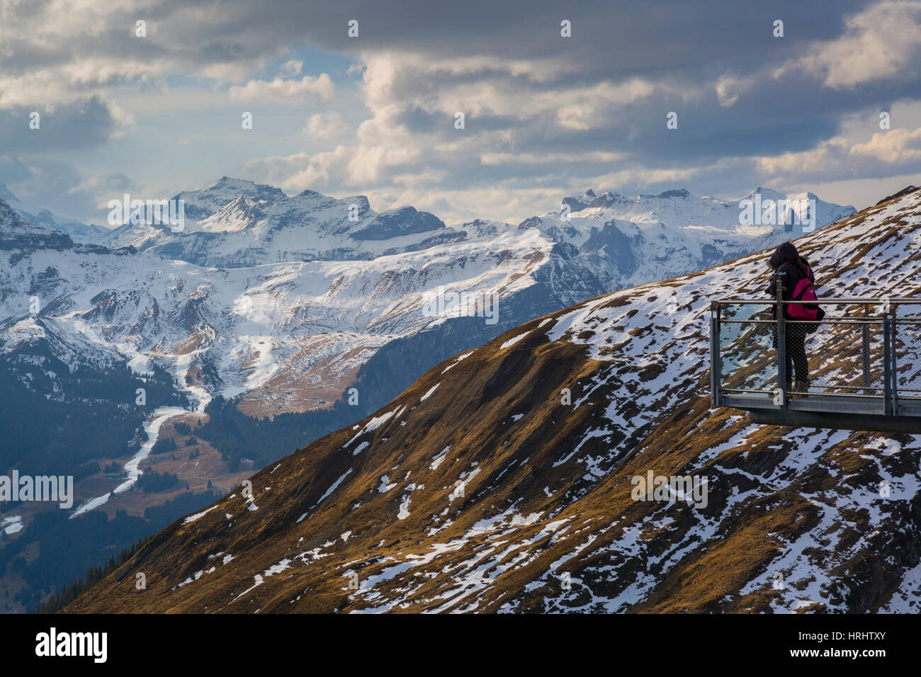 Vista da Grindelwald prima, regione di Jungfrau, Oberland bernese, alpi svizzere, Svizzera Foto Stock