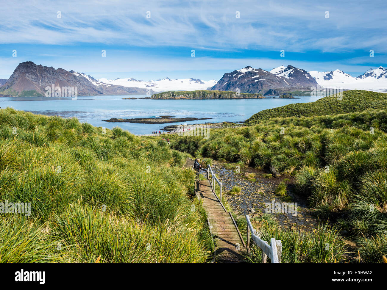 La passerella sul Prion Island, Georgia del Sud, l'Antartide, regioni polari Foto Stock