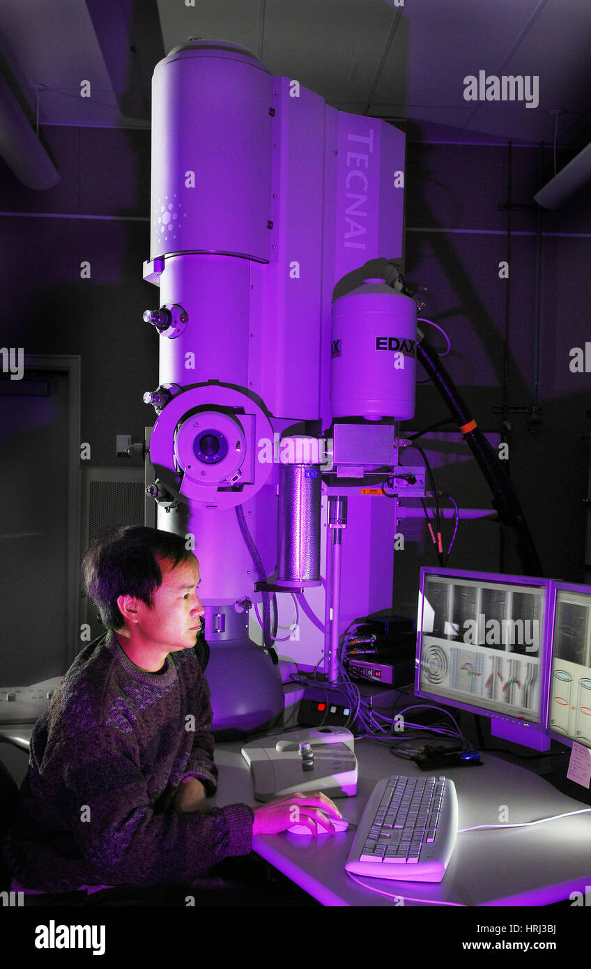 Scansione microscopio elettronico a trasmissione immagini e fotografie ...