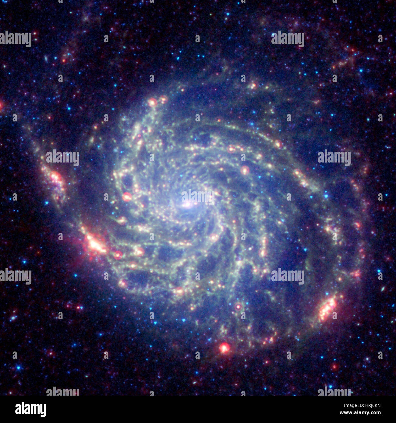 M101, NGC 5457, girandola Galaxy, galassia a spirale Foto Stock