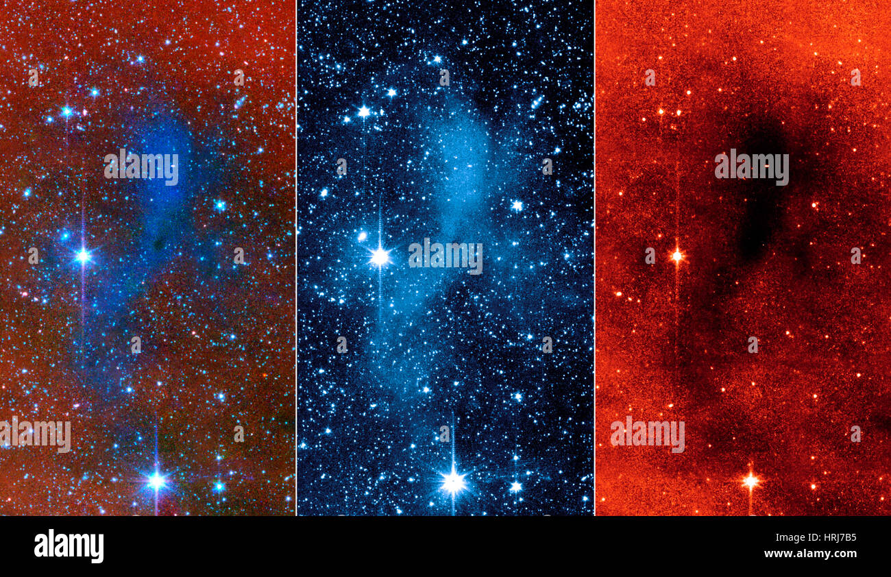L183, Pre-Stellar Core, asilo nido cosmico Foto Stock