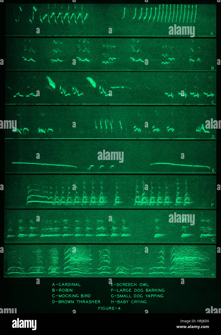 Spettrogrammi audio Foto Stock