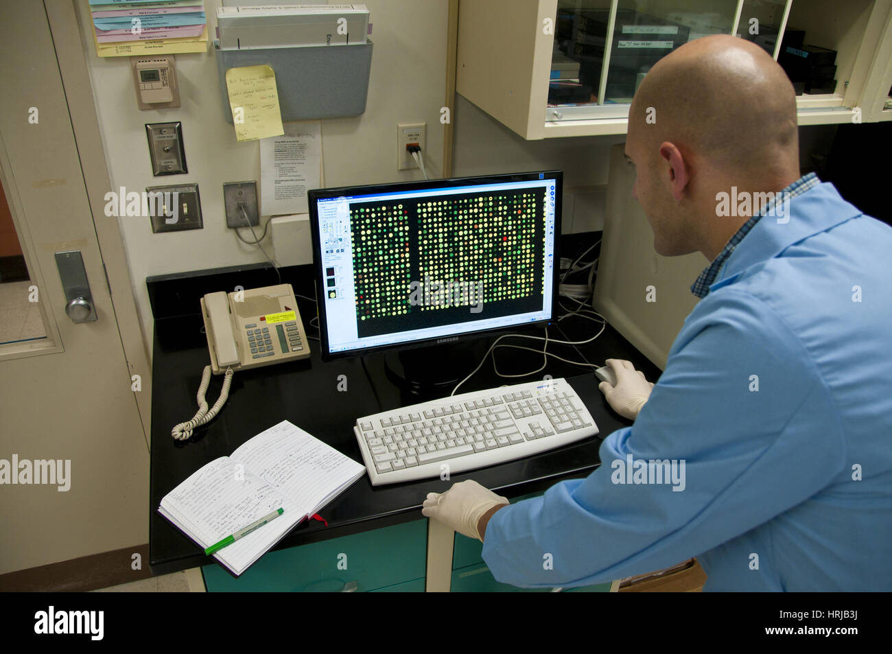 La FDA Tossicologia Ricerca, dati di microarray Foto Stock