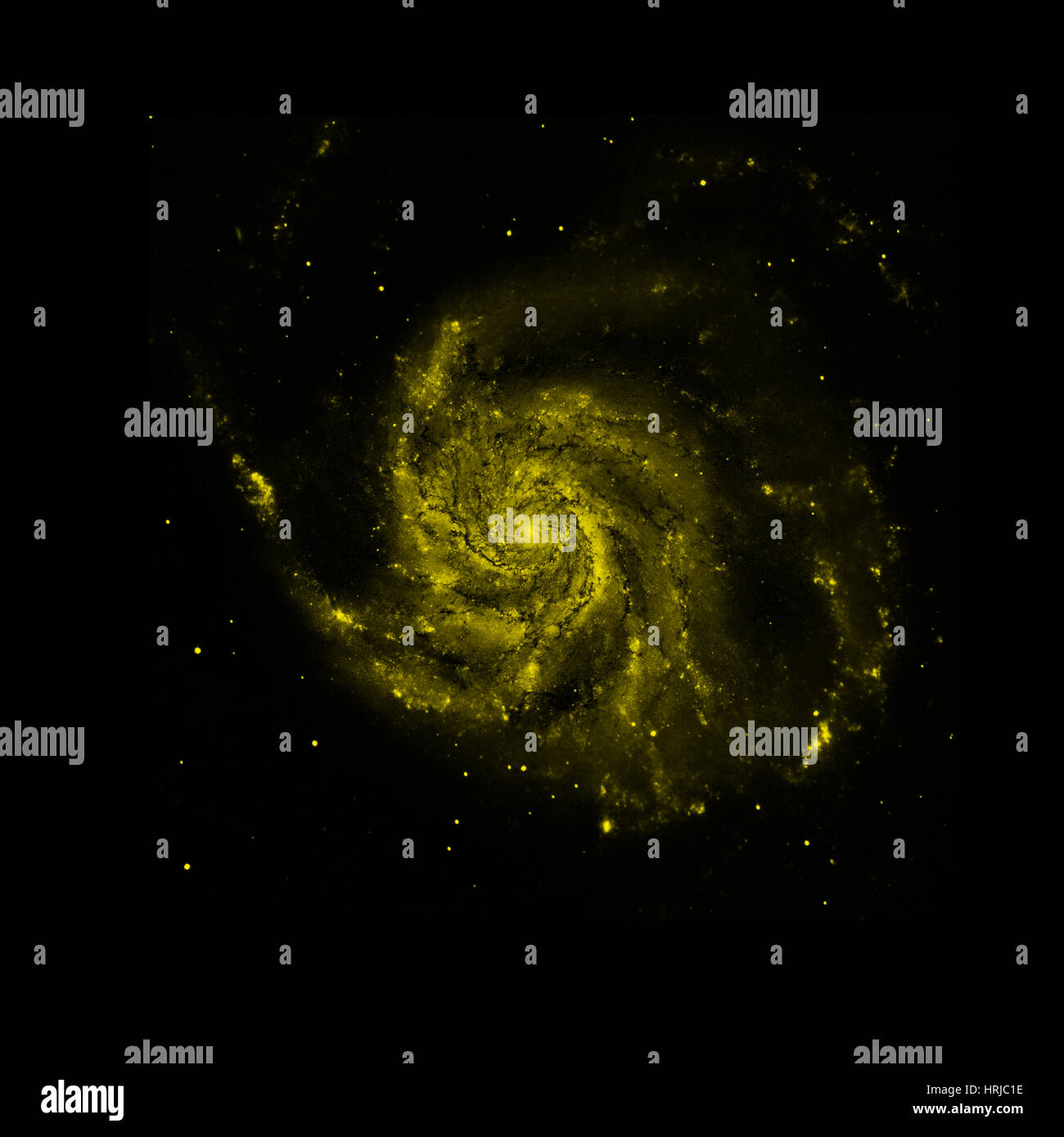 M101, girandola Galaxy, ottico Foto Stock
