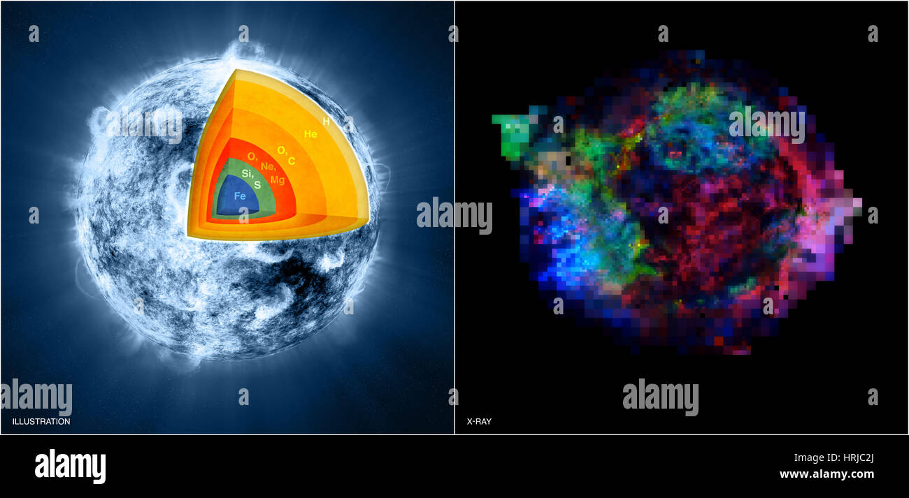 Cassiopea una stella, rovesciato Foto Stock