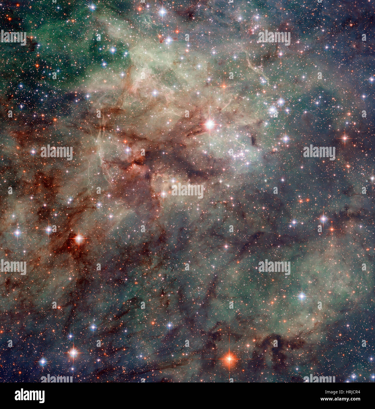 nebulosa-tarantola-immagini-e-fotografie-stock-ad-alta-risoluzione-alamy