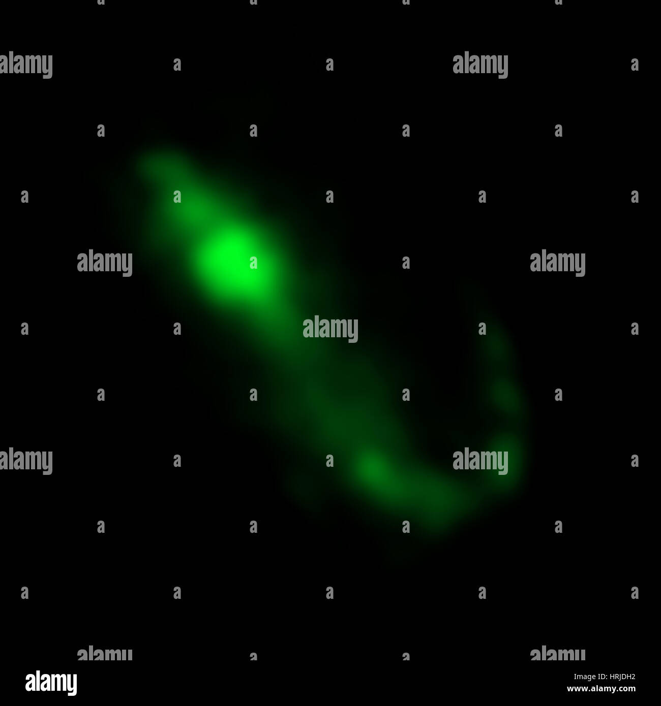 CH Cyg, stelle binarie, ottico Foto Stock