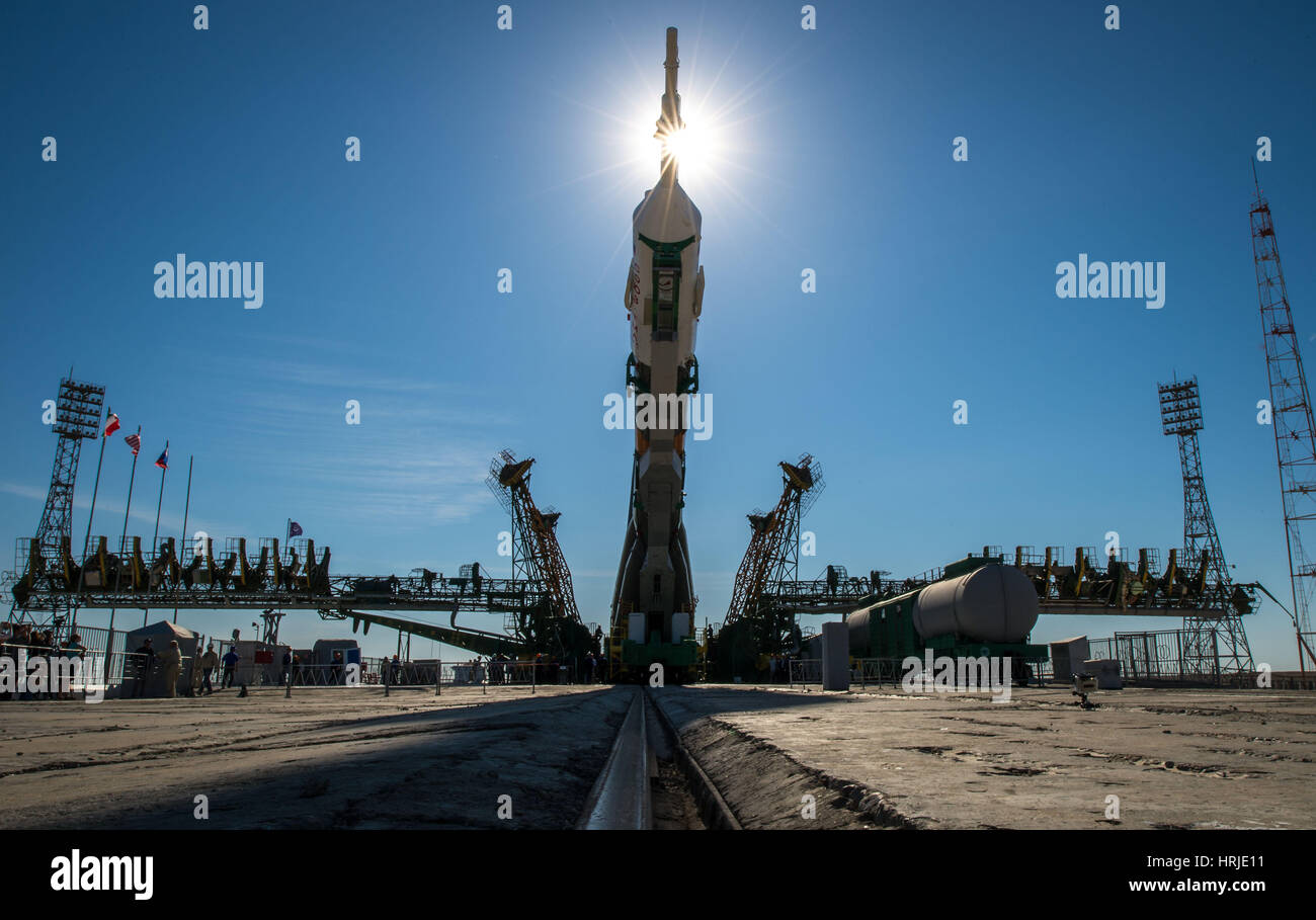 Expedition 36 Soyuz TMA-09M Rollout Foto Stock