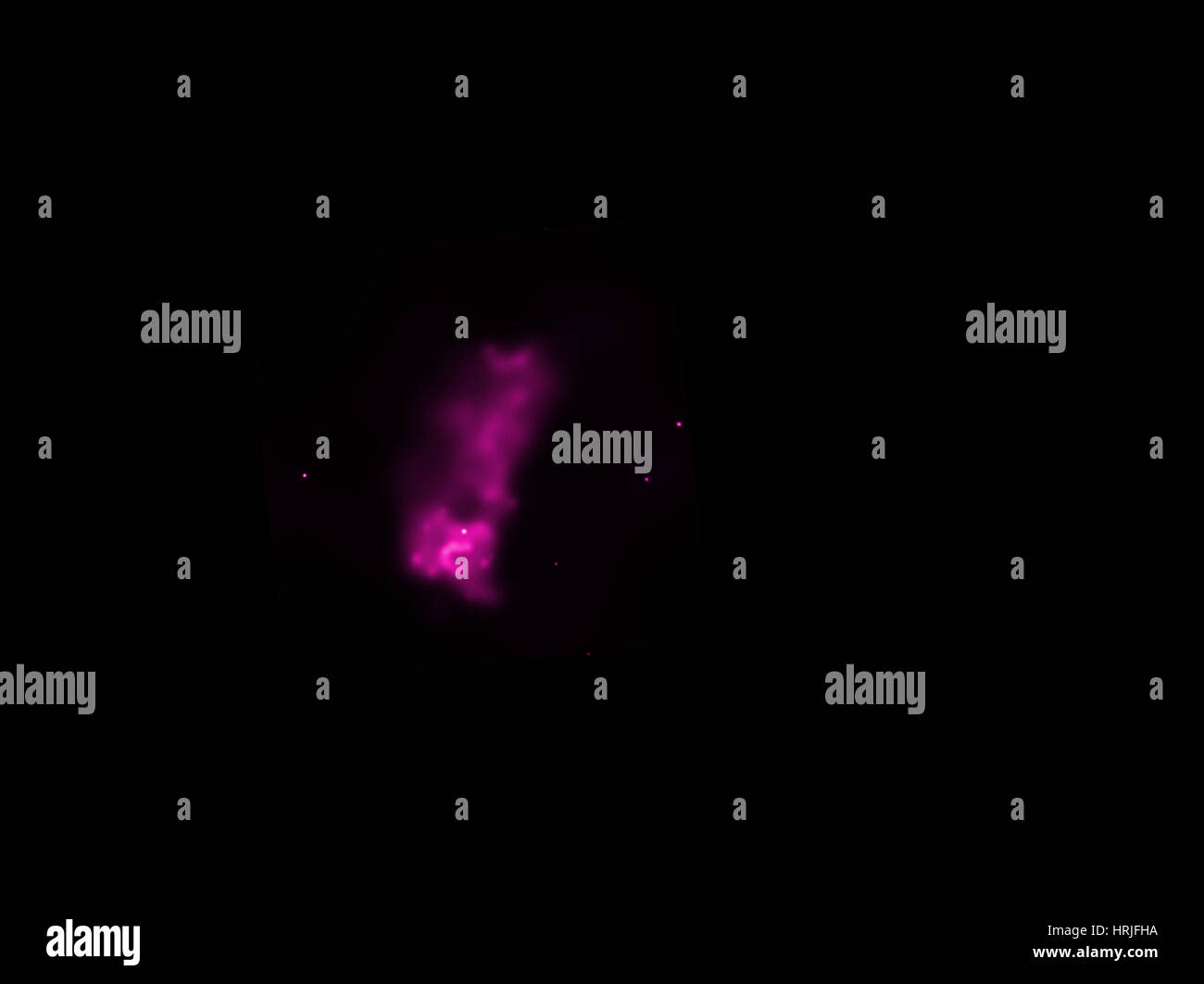 Supernova DEM residuo L241, X-Ray Foto Stock