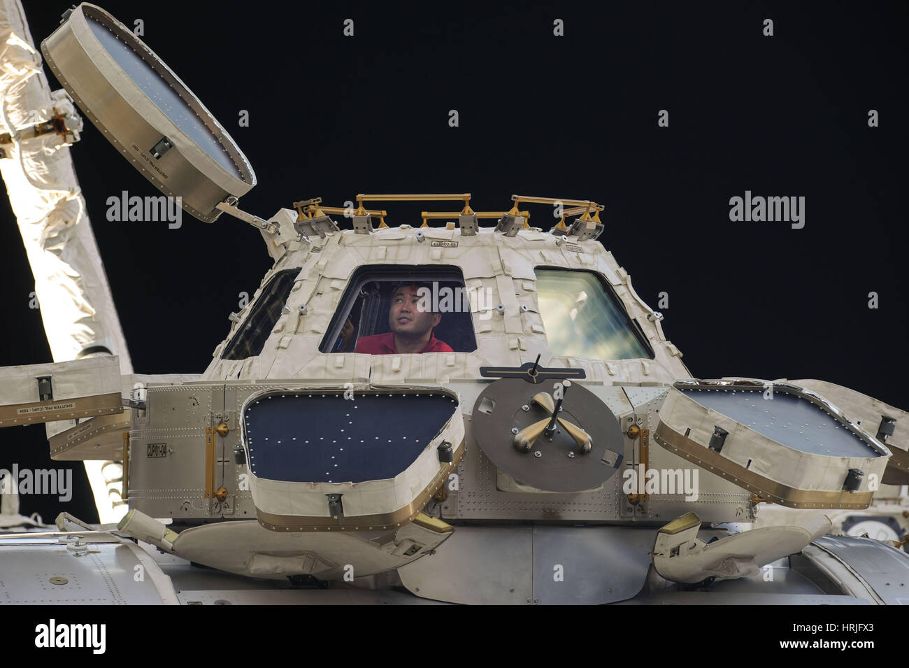 Astronauta Koichi Wakata nella Cupola della ISS Foto Stock