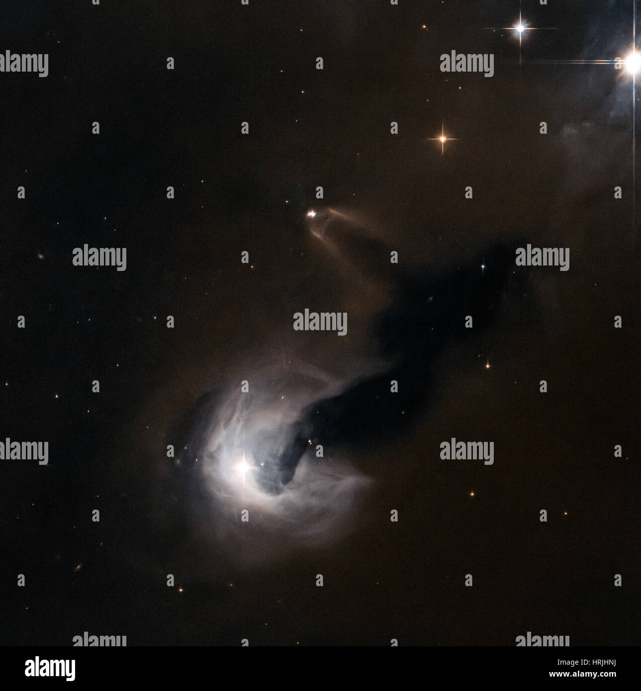 Stellare giovane oggetto e Nebulosa di riflessione Foto Stock