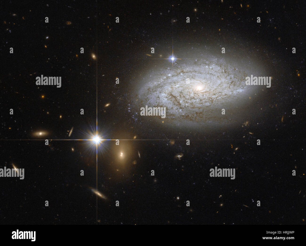 Galassia a spirale NGC 3021 Foto Stock