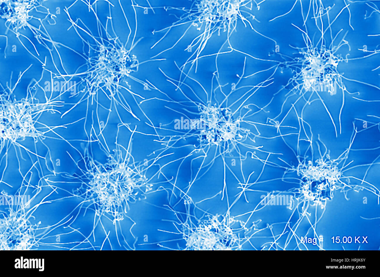 Nanofilo crescita, la nanotecnologia Foto Stock