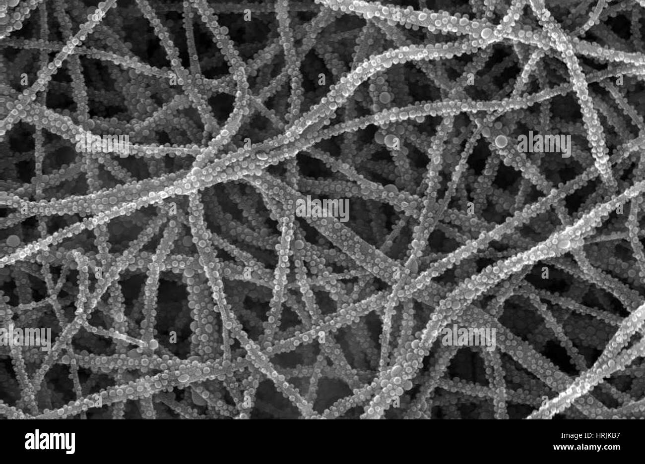 Batterie agli ioni di litio per nanofili di fosfato, SEM Foto Stock