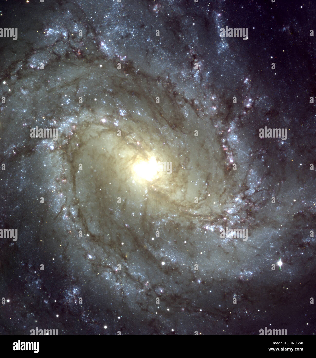 La Girandola meridionale Galaxy, M83, NGC 5236 Foto Stock