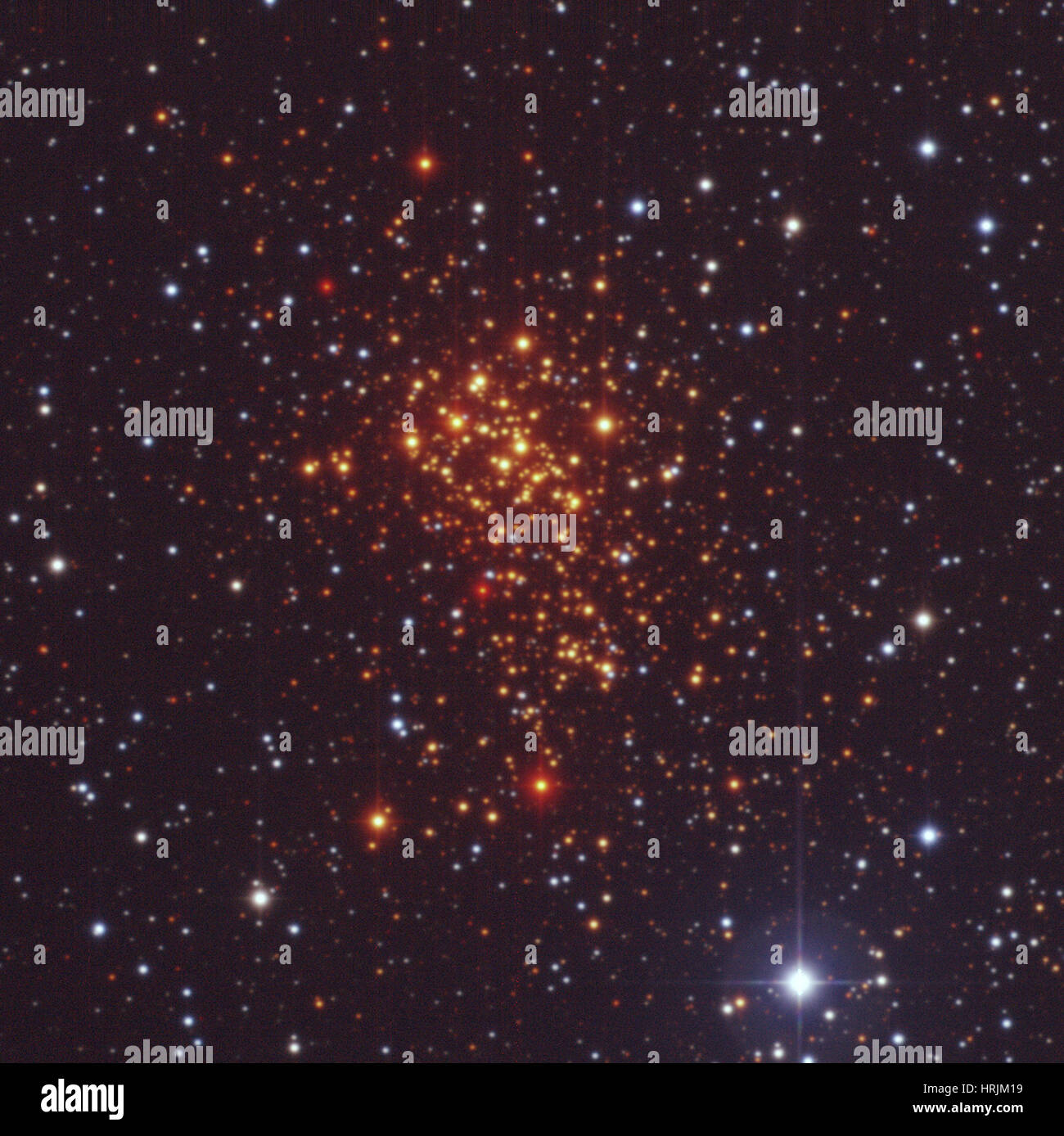 Ara Cluster, Westerlund 1 Foto Stock