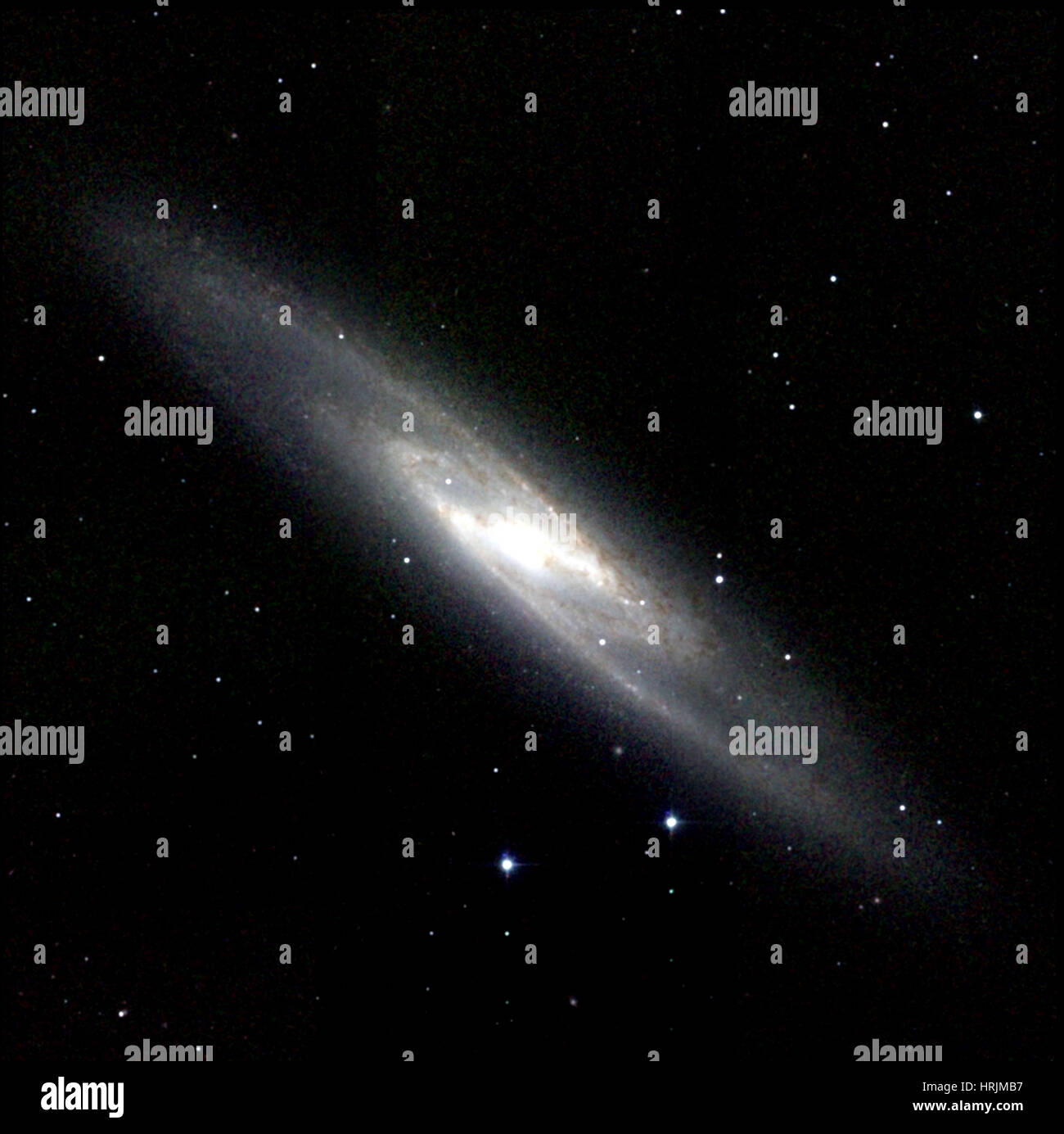 Scultore galassia NGC 253, Caldwell 65 Foto Stock
