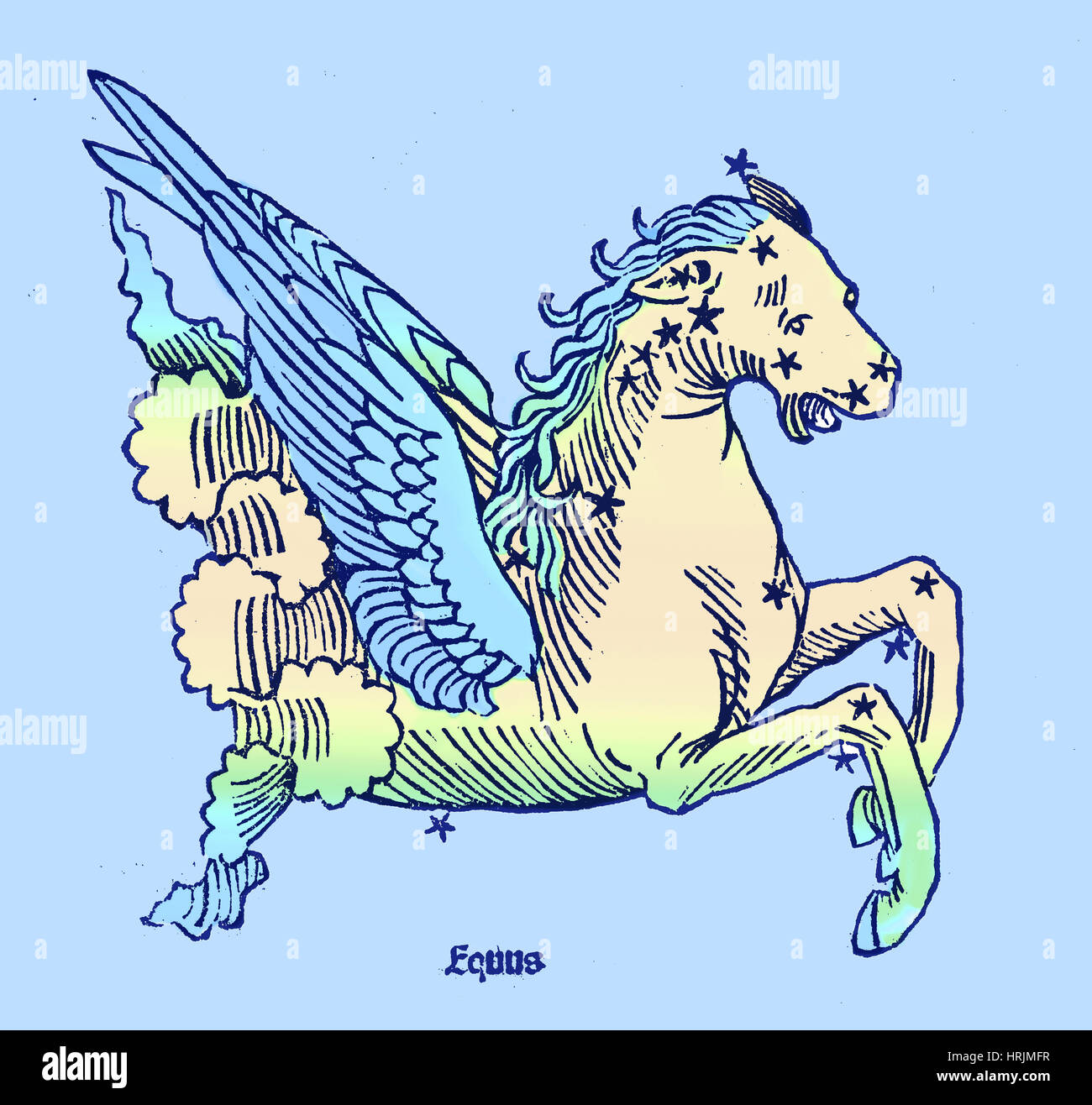 Cavallo, Equuleus Constellation Foto Stock