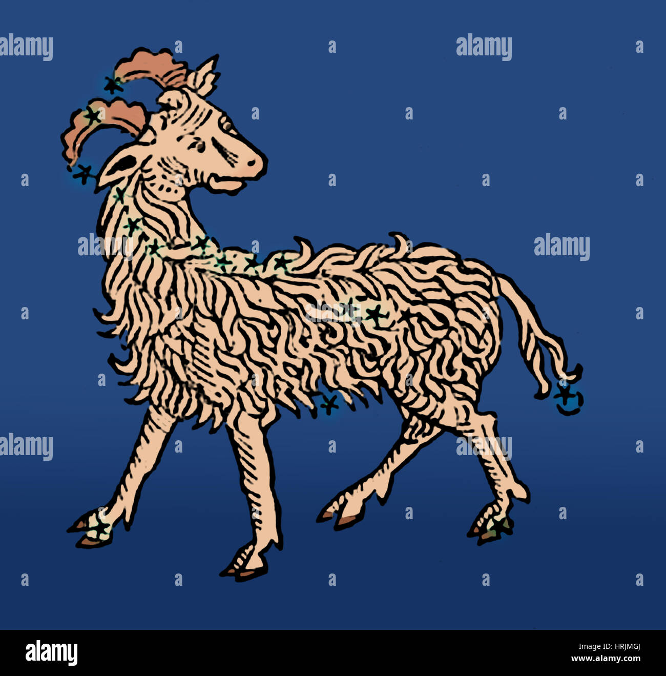 Zodiac Ram, costellazione Aries Foto Stock