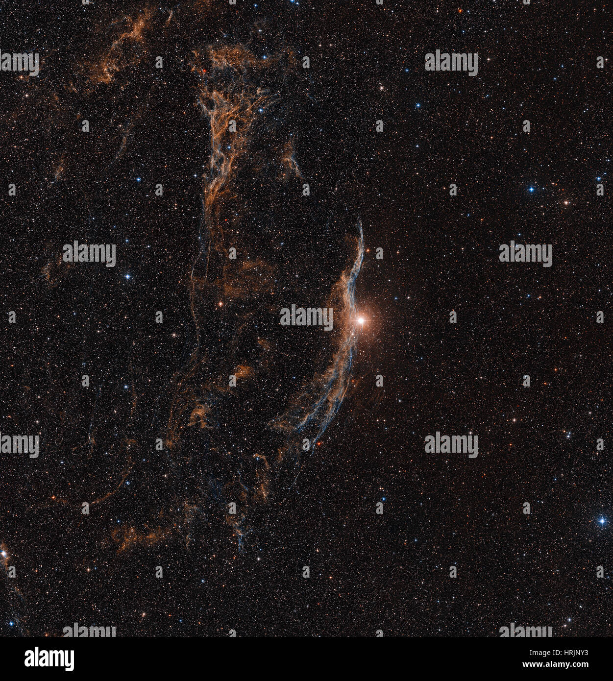 Velo nebulosa NGC 6960, Supernova residuo Foto Stock