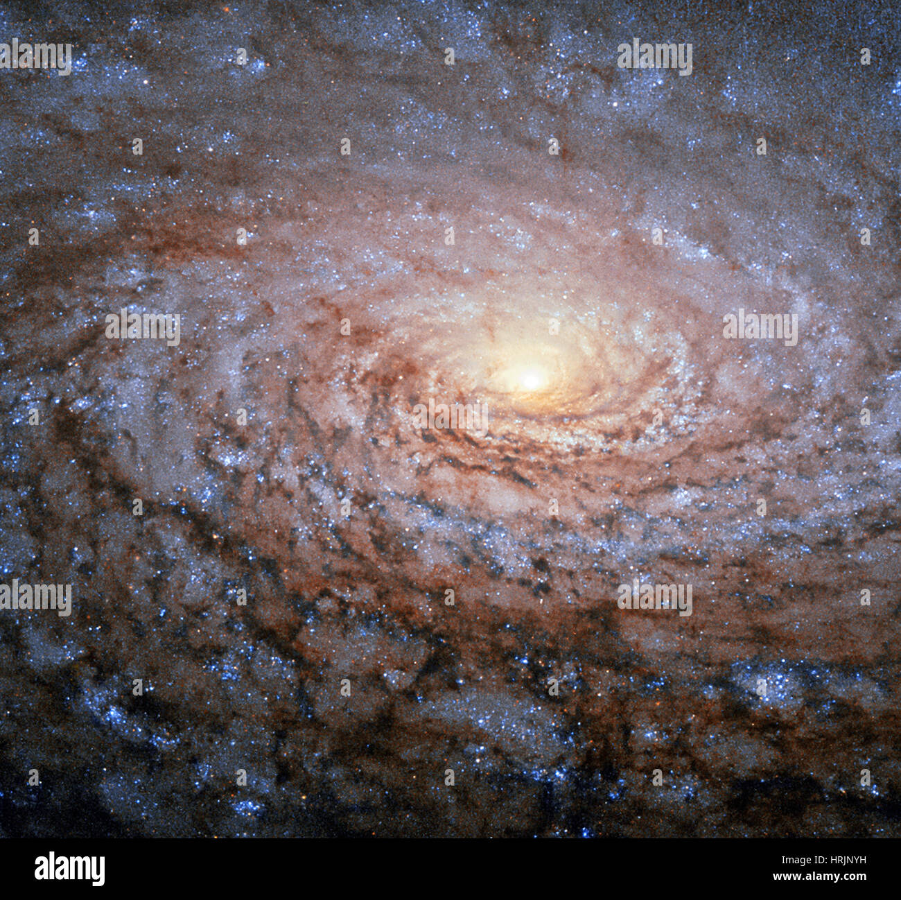 Il Sunflower Galaxy, Messier 63 Foto Stock