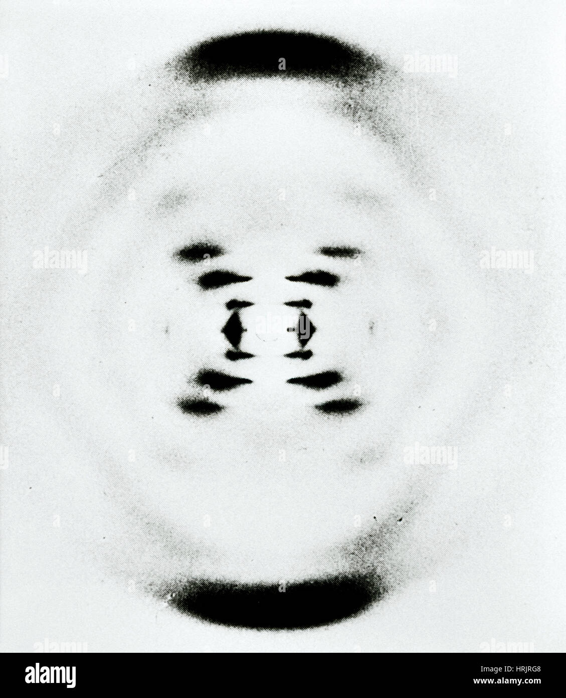 Rosalind Franklin's B-forma di DNA, 1953 Foto Stock