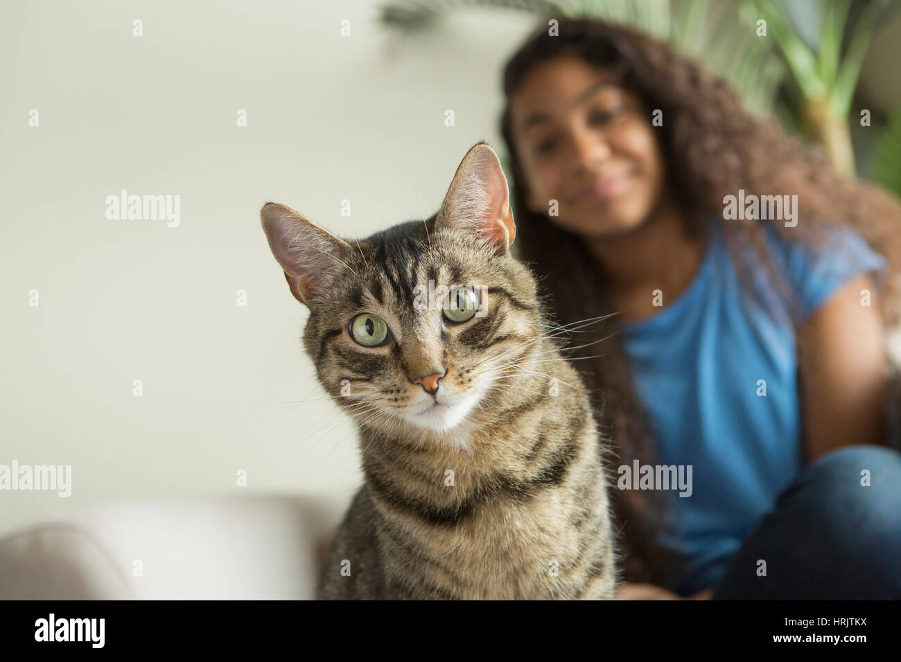 Una ragazza seduta su un divano con un pet cat. Foto Stock