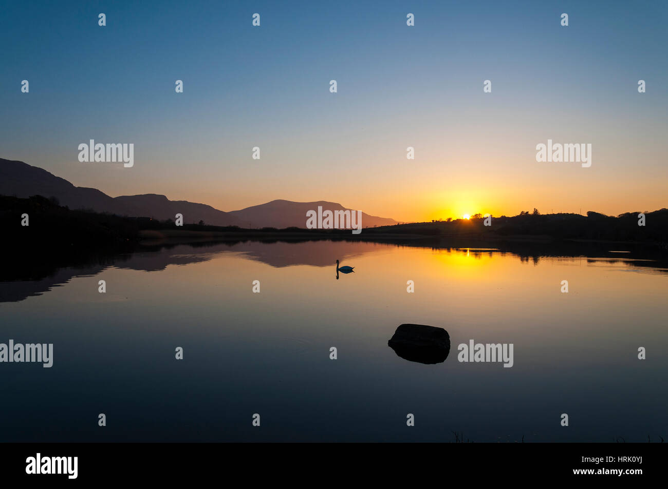 La calma tranquillo Lago con cigno al tramonto Foto Stock