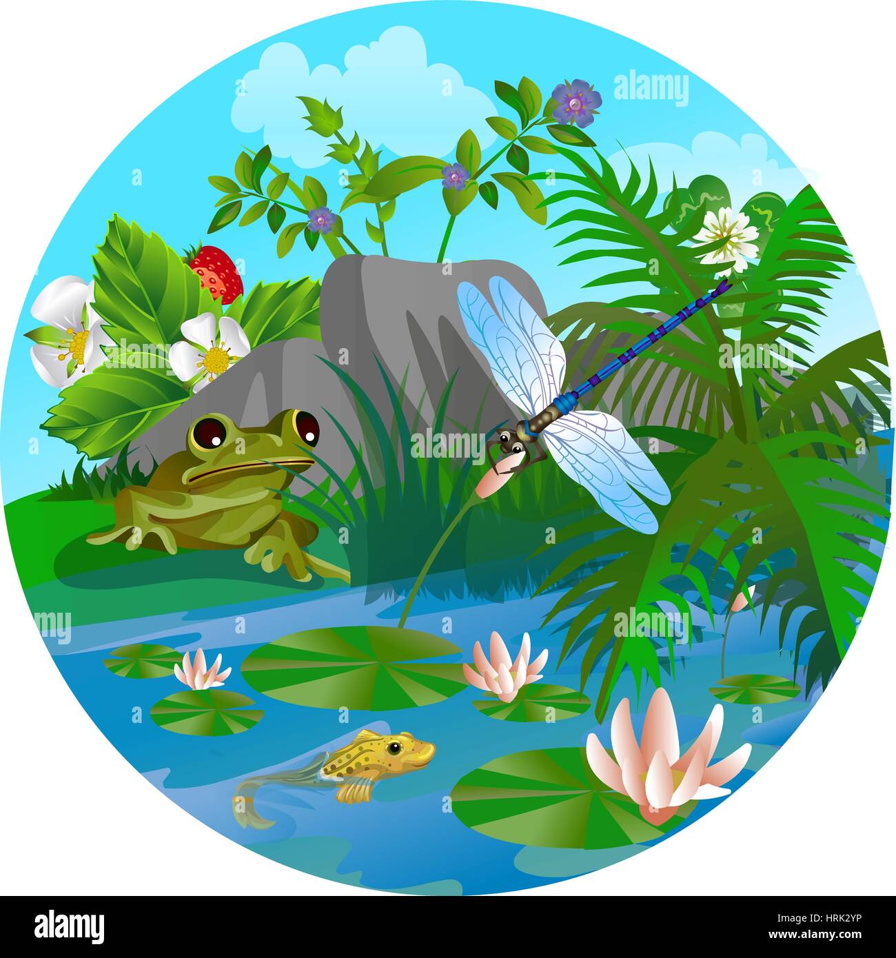 Estate vettore illustrazione della natura nel cerchio, in forma di insetto della vita in foresta, in una radura in erba. Rana e Dragonfly sul lago Illustrazione Vettoriale