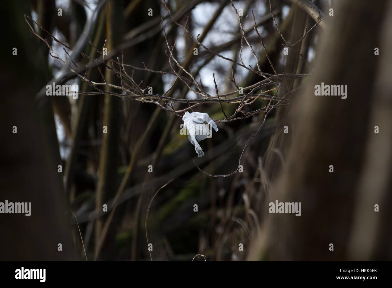 Il littering Loch Lomond Foto Stock
