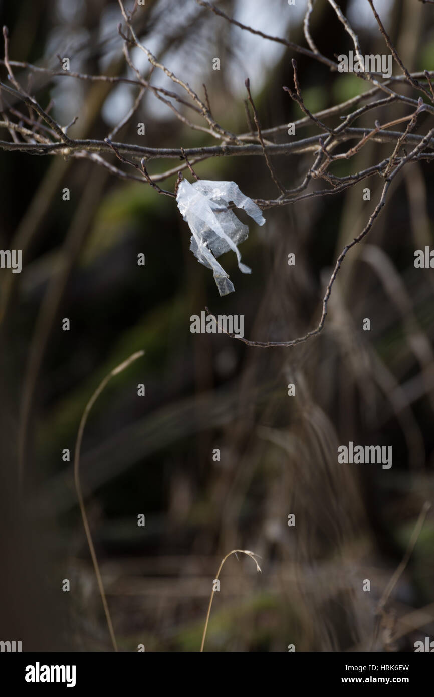 Il littering Loch Lomond Foto Stock
