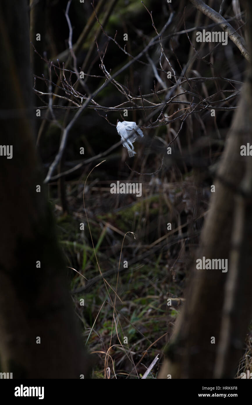 Il littering Loch Lomond Foto Stock