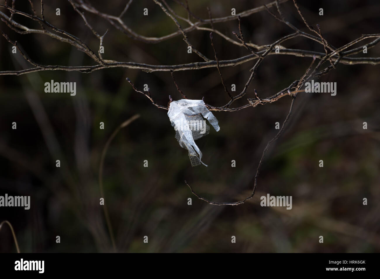 Il littering Loch Lomond Foto Stock
