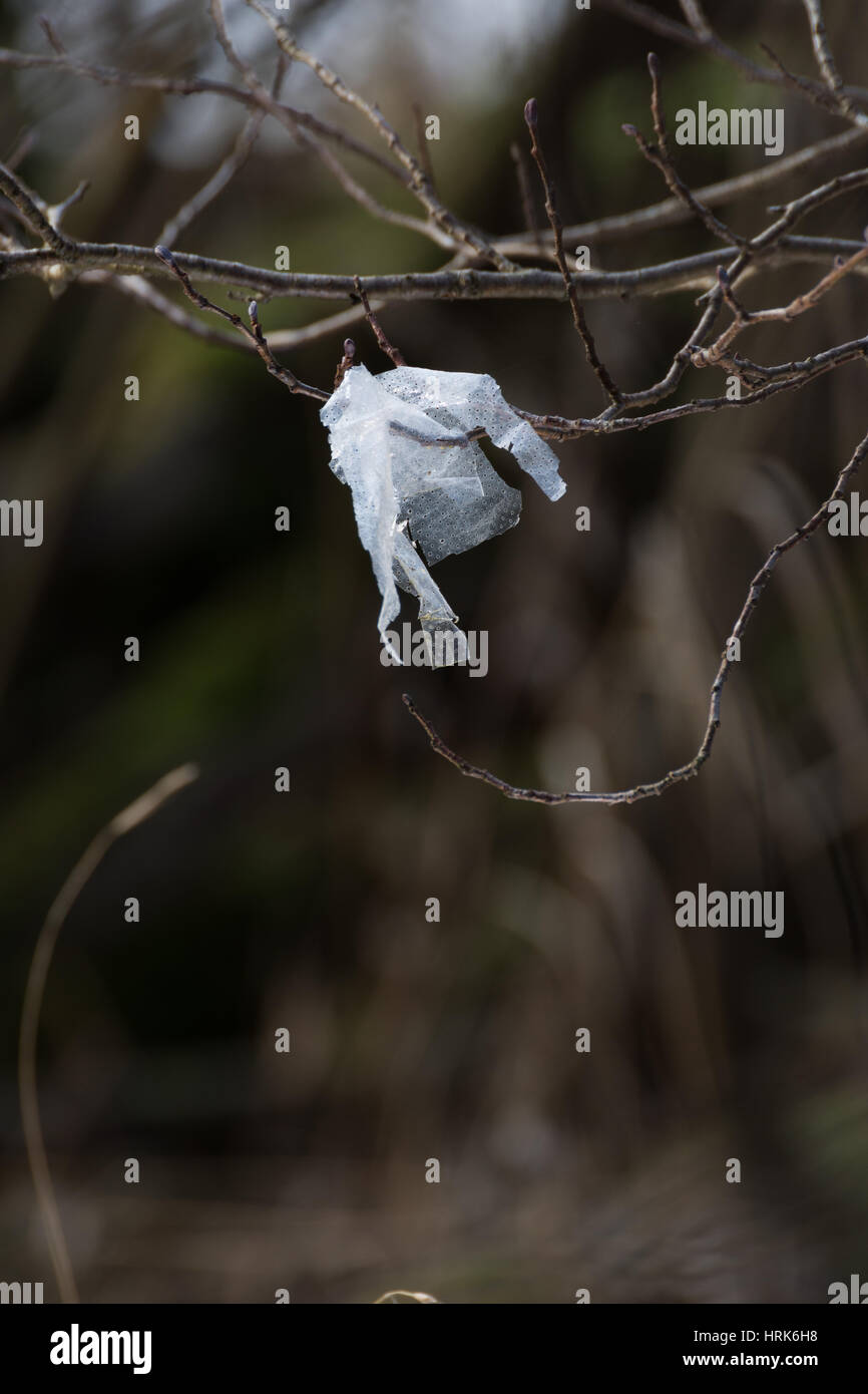 Il littering Loch Lomond Foto Stock