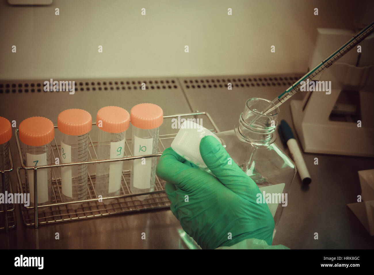 Tecnico di laboratorio prende il campione dal tubo per prova, vicino, soft focus Foto Stock