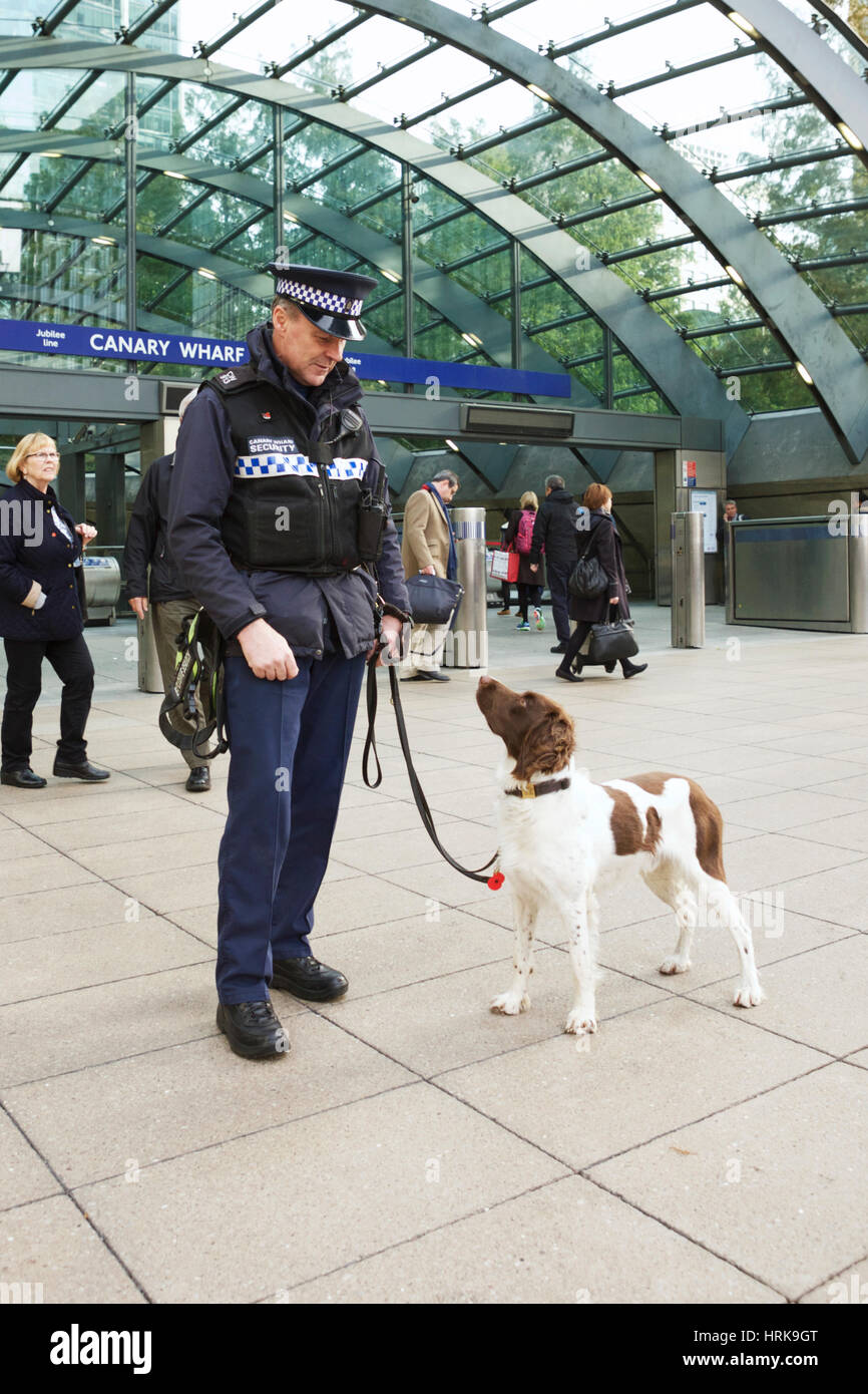 Gestore del cane: guardia di sicurezza con Springer Spaniel sniffer cane a Canary Wharf Station di Londra, Regno Unito. Cane di rilevamento UK. Cane da Lavoro, lavorando il canino. Foto Stock