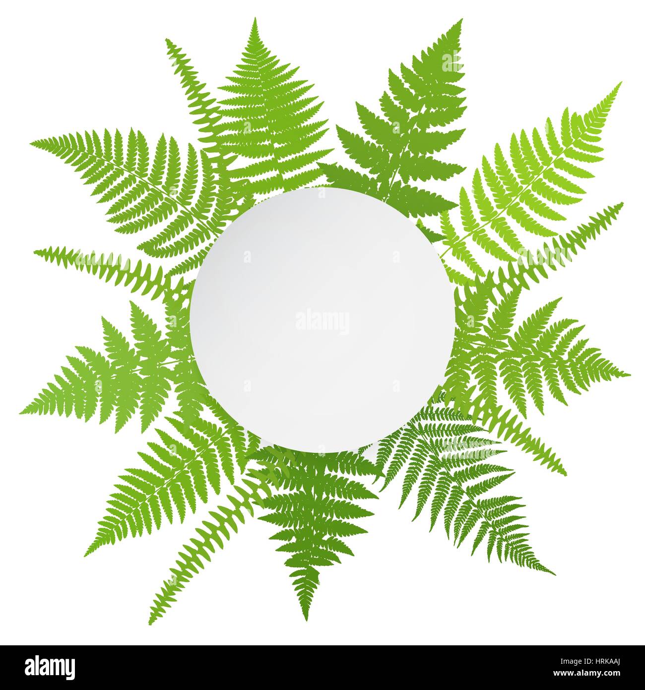 Jungle poster. Fern frond sfondo. Illustrazione Vettoriale. Illustrazione Vettoriale