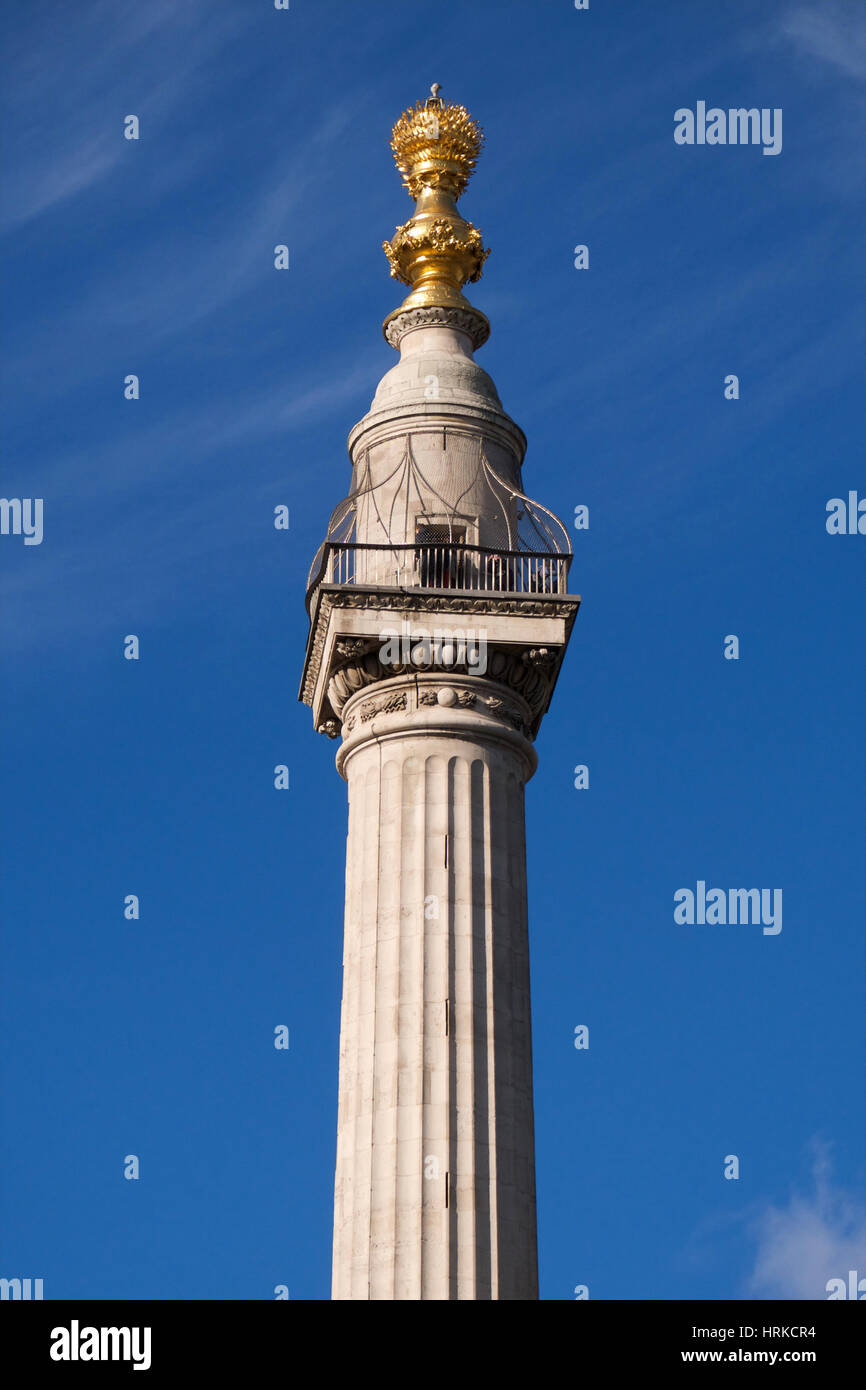 Il monumento, progettato da Sir Christopher Wren, costruito per commemorare il Grande Incendio di Londra, Inghilterra in 1666 Foto Stock
