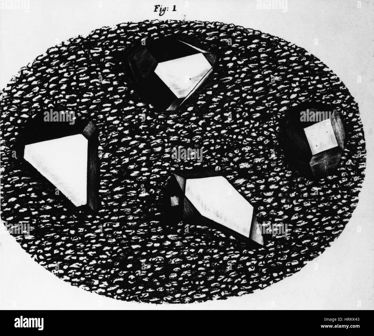 Micrographia Foto Stock