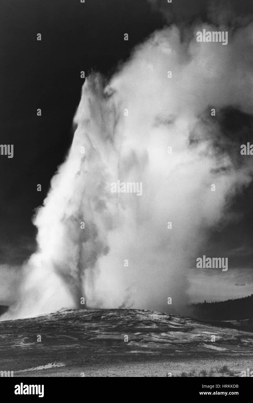 Old Faithful Foto Stock