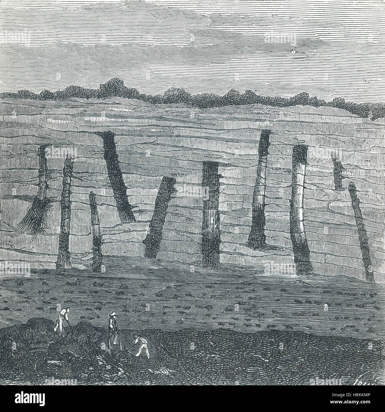 Alberi in miniera di carbone Foto Stock